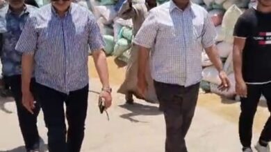 توريد ٦٧٢٤٣٠ و ٢٧٠ قمح محلي بمحافظة الشرقية
