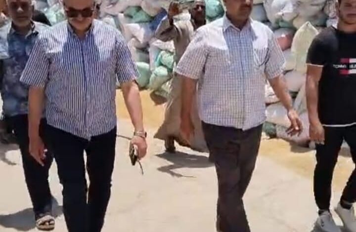 توريد ٦٧٢٤٣٠ و ٢٧٠ قمح محلي بمحافظة الشرقية
