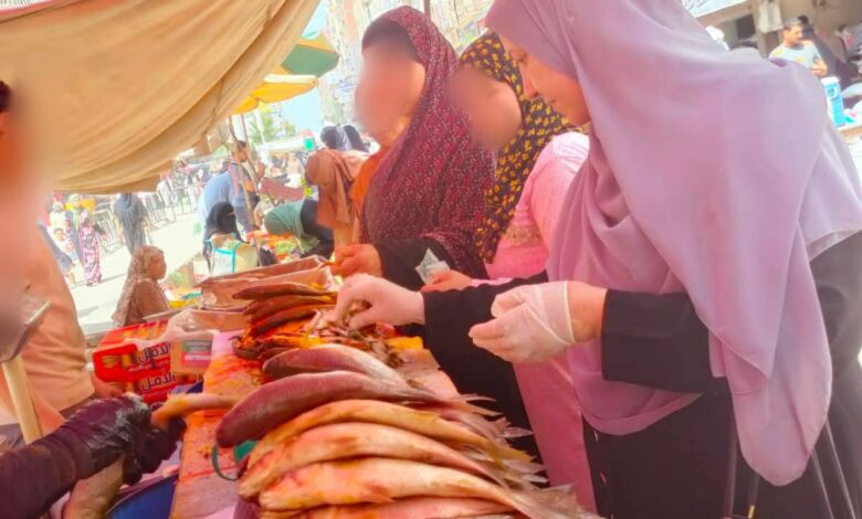 ضبط ربع طن أسماك مملحة وفاسدة بسوق الرياض الأسبوعي
