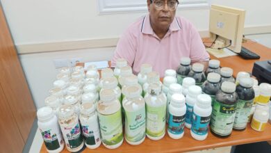ضبط 80 عبوة مبيد حشري منتهية الصلاحية بمراكز المحافظة