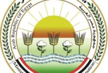 "الزراعة" تنظم المؤتمر الدولي الأول للتنمية المستدامة للثروة الحيوانية
