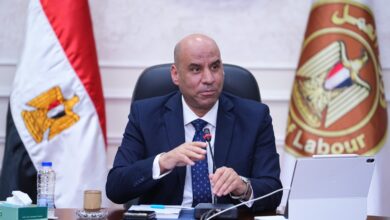 وزير العمل ومحافظ الشرقية يفتتحان الملتقى القومي للتشغيل الاثنين القادم