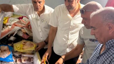 حافظ الغربية يتابع جهود الطب البيطري والرقابة التموينية لضبط الأسواق