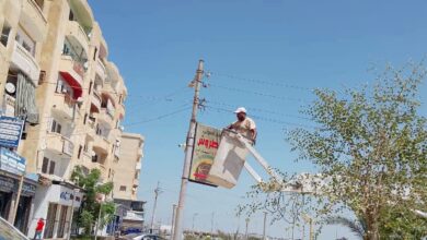 إزالة ٣٠ إعلان مخالف بمدينة بلطيم
