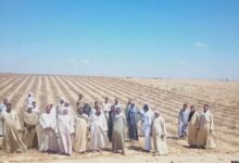 مزارعون مركز سمسطايدقون ناقوس الخطر (بيع مياه الري يعيد فتح ملف المحطات المخالفة)