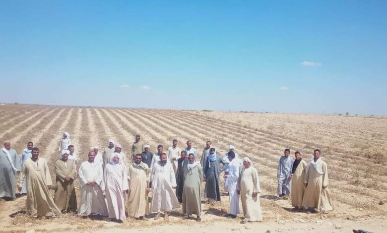 مزارعون مركز سمسطايدقون ناقوس الخطر (بيع مياه الري يعيد فتح ملف المحطات المخالفة)
