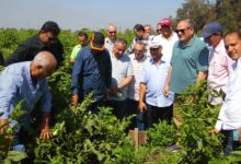 "بحوث الصحة الحيوانية ببنها" يجدد اعتماده الدولي "ISO 17025" بـ 26 اختباراً