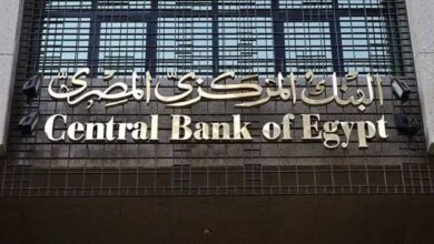البنك المركزي يصدر القواعد المنظمة لخدمات منظومة الهوية المالية الرقمية