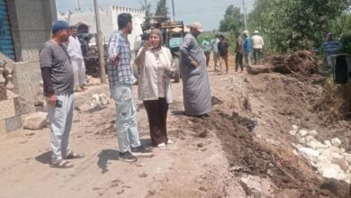 محافظ كفرالشيخ يتابع أعمال التكاسي والتبطين بطريق الريفي بقرية أبو دراز بفوه