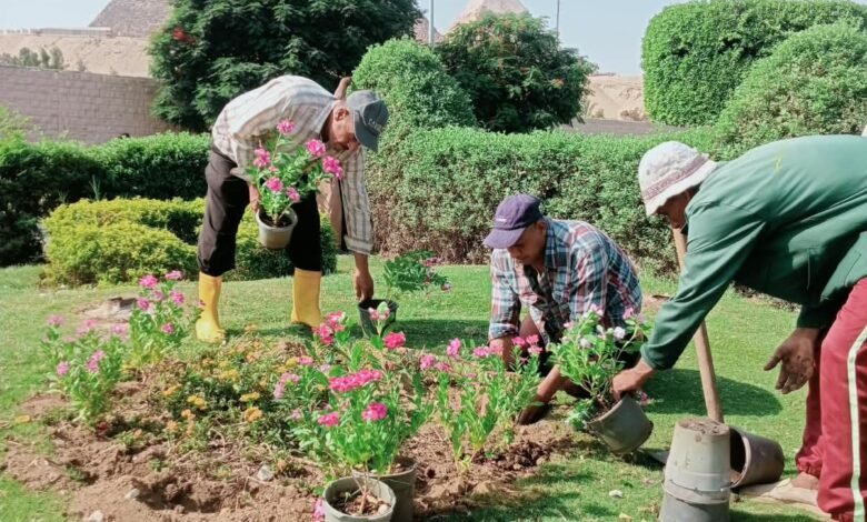 الجيزة ترفع كفاءة محيط المتحف المصري الكبير ومدخل الأهرامات