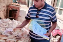 ضبط سلع غذائية مجهولة المصدر ومبيدات زراعية منتهية الصلاحية بمراكز كفرالشيخ