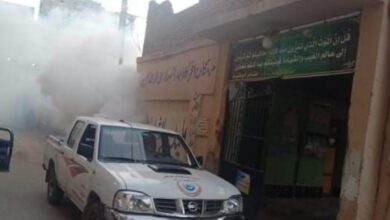 محافظ الشرقية تكثيف حملات رش الناموس والحشرات الطائرة بنطاق المحافظة