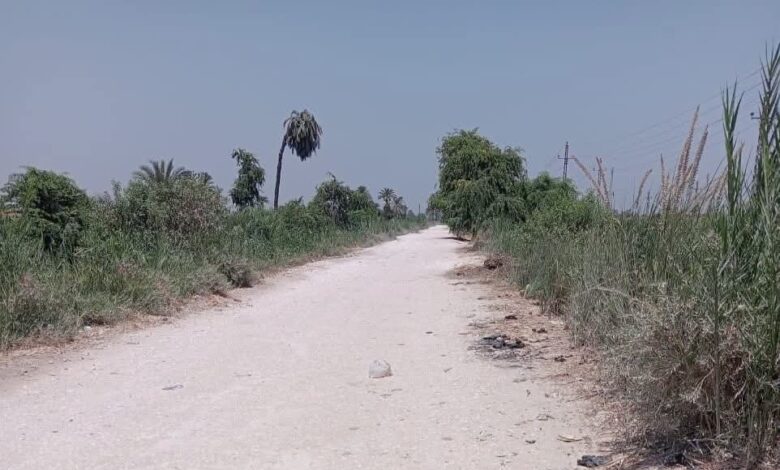 طريق طنسا الملق فى مركز ناصر ببني سويف خارج جطة التطوير