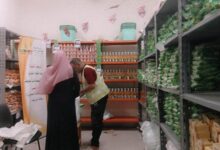 نهضة بني سويف، بالتعاون مع بنك الطعام :دعم شهري للأسر الأولى بالرعاية بنظام الماركت
