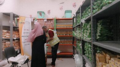 نهضة بني سويف، بالتعاون مع بنك الطعام :دعم شهري للأسر الأولى بالرعاية بنظام الماركت