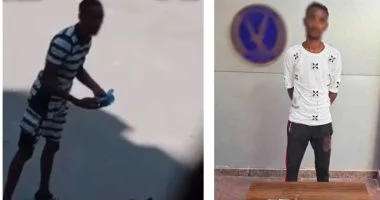 القبض علىمدمن بحوزته مخدرات عقب استعراضه البلطجة بسلاح في الإسكندرية