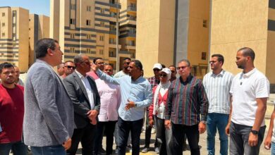 وزيرة الإسكان تتابع موقف تنفيذ المشروعات السكنية والخدمية بمدينتي 15 مايو والعبور ومحافظة بورسعيد