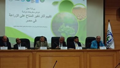 الزراعة" تبحث مخرجات تقييم آثار تغير المناخ على القطاع الزراعي