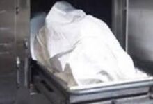 شابان استدرجا سائق سفاري وقتلاه فى الصحراء للاستيلاء على سيارته بالفيوم