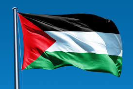 بيان عربي إسلامي ناري ضد إسرائيل:تل أبيب تفشل جهود ترامب.. ولا سلام إلا بوجود فلسطين المستقلة