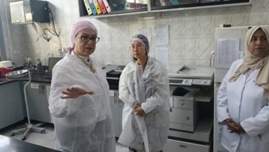 معهد بحوث الصحة الحيوانية يشارك في ورشة «الفاو» لمواجهة مقاومة المضادات الحيوية