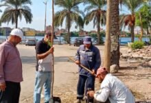 دهان البلدورات وزراعة الأشجار وإزالة الإعلانات العشوائية ضمن خطة يومية بدسوق