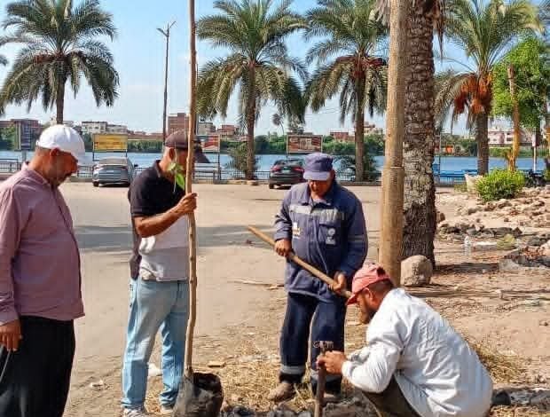 دهان البلدورات وزراعة الأشجار وإزالة الإعلانات العشوائية ضمن خطة يومية بدسوق