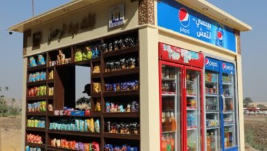 محافظ القاهرة يفقد منظومة الأكشاك الموحدة الجديدة بالمنطقة الشمالية