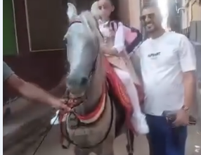 بمحافظة كفر الشيخ :أب يصطحب ابنته إلى المدرسة على ظهر حصان