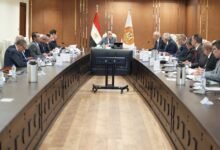 وزير العمل: صندوق إعانات الطوارئ يواصل تقديم الحماية الاجتماعية للعمال في أوقات التحديات