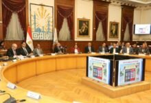 د. إبراهيم صابر :خطة تنفيذية لـ "تخضير القاهرة"