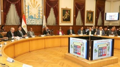 د. إبراهيم صابر :خطة تنفيذية لـ "تخضير القاهرة"