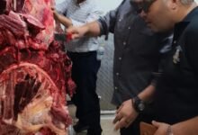 ضبط ١٥٠ كجم لحوم مذبوحة خارج المجازر وغير صالحة للاستهلاك الادمى فى مدينة العبور
