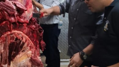 ضبط ١٥٠ كجم لحوم مذبوحة خارج المجازر وغير صالحة للاستهلاك الادمى فى مدينة العبور