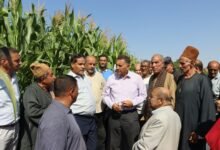 محافظ القليوبية :" الفلاح المصرى " شريك أساسي في تحقيق الأمن الغذائي ودعم مسيرة التنمية