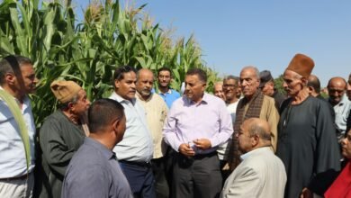 محافظ القليوبية :" الفلاح المصرى " شريك أساسي في تحقيق الأمن الغذائي ودعم مسيرة التنمية