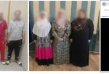 الداخلية تكشف ملابسات فيديو التعدي على سيدة وطفلتيها في المنصورة