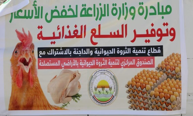 الزراعة» تطرح بيض المائدة بتخفيضات 25% عبر منافذها المتنقلة