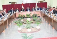 بيطرى الشرقية : تكثيف الجهود للسيطرة على السعار