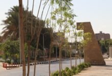 محافظة القاهرة خطة تنفيذية لـ"تخضير القاهرة"
