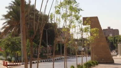 محافظة القاهرة خطة تنفيذية لـ"تخضير القاهرة"