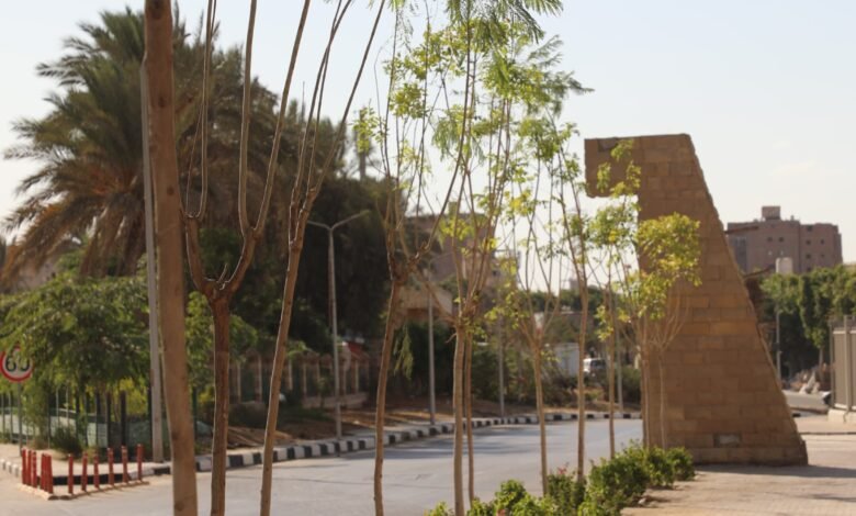 محافظة القاهرة خطة تنفيذية لـ"تخضير القاهرة"
