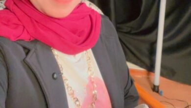 مصيدة الضوء والألوان:إدمان الألعاب الإلكترونية بين الفراغ العاطفي والاحتواء المفقود ...بقلم : د. هبه طه