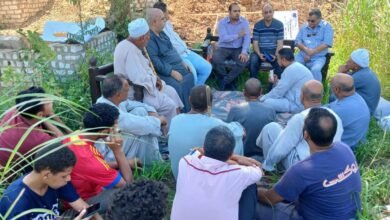 "الزراعة" تنظم برنامجاً مكثفاً بسوهاج لنشر ثقافة "الزراعة التعاقدية" للمحاصيل الزيتية والاستراتيجية