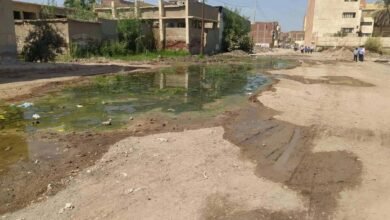 ( بالصور ) المجارى تحاصر مدرسة التجارة بنين بمنية المكرم بفاقوس