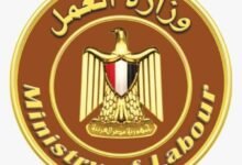 وزير العمل :2300 فرصة عمل جديدة بمشروع محطة الضبعة النووية