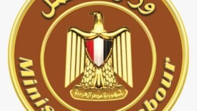 وزير العمل :2300 فرصة عمل جديدة بمشروع محطة الضبعة النووية