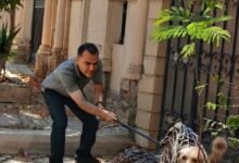 "الزراعة" تكثف جهودها الميدانية للوقاية من السعار والتعامل مع ملف الكلاب بالمحافظات