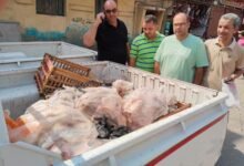 نصف طن لحوم غير صالحة للاستهلاك داخل مطعم ببني سويف