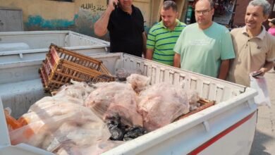 نصف طن لحوم غير صالحة للاستهلاك داخل مطعم ببني سويف